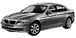 BMW F10 U20D5 Fault Code